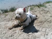 Klik op de foto voor groter formaat